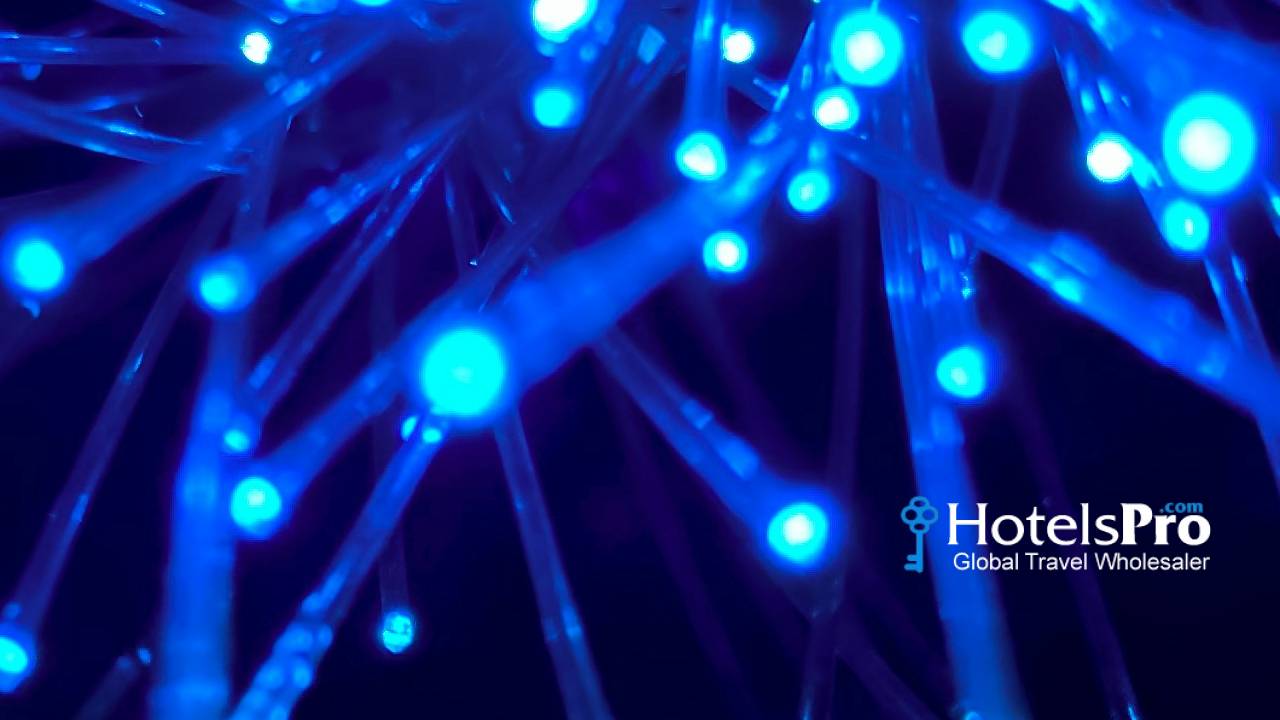 Nodes
